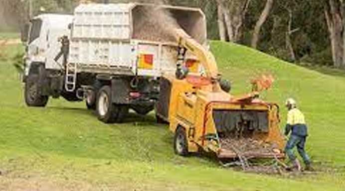 Stump Removal - Stump Grinding South Auckland